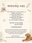 바비브라운 비숑프리제