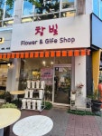 참빛