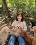 숲속댕토리애견호텔N유치원