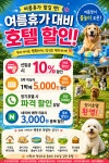 숲속댕토리애견호텔N유치원
