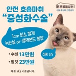 튼튼동물병원