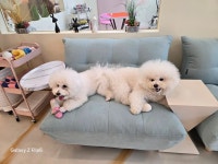 멍마실