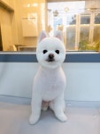 까망코살롱
