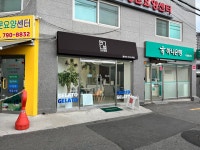 만년설화
