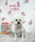 멍멍1길 23