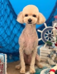 개in공간