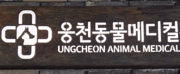 웅천동물병원