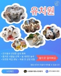 나인페츠 서울숲점
