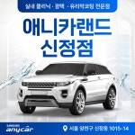 애니신정