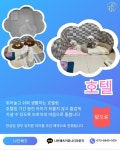 나인페츠 서울숲점