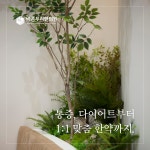 바른우리한의원
