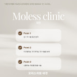 모리스의원 대전