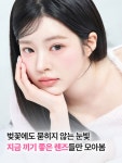 그랑프리안경 위드렌즈 중곡점