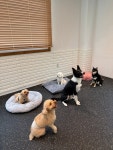 플레이바우