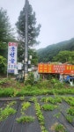 동천골