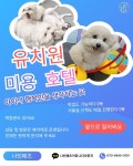 나인페츠 서울숲점