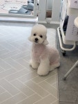 유독이쁨