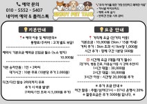 엔조이펫택시