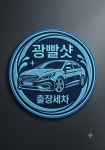 광빨샷출장세차
