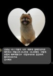 헬로우버디 광교점