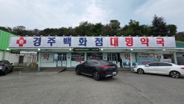 경주백화점대형약국