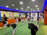 연세대석사태권짱