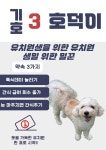 싱글댕글 애견유치원&애견호텔