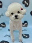 허그멍