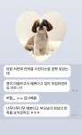 헬로우버디 광교점