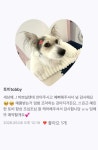 헬로우버디 광교점