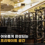 에이펙스피트니스 구로디지털점