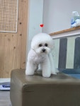 멍멍1길 23