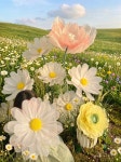 수림조경，꽃내음있는곳 | 수림자이언트플라워앤디자인