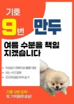 싱글댕글 애견유치원&애견호텔