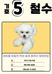 싱글댕글 애견유치원&애견호텔