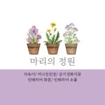 마리의정원