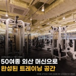 에이펙스피트니스 구로디지털점