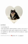 헬로우버디 광교점