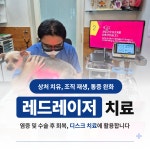 미드미동물의료센터