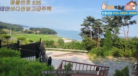 태안일등부동산공인중개사사무소