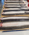 지수만풍천민물장어 군산본점