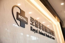 로얄동물외과수술센터