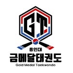 용인대금메달태권도