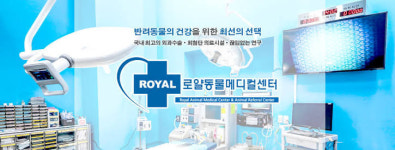 로얄동물외과수술센터