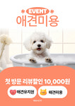 왕왕 강아지애견유치원 마포점