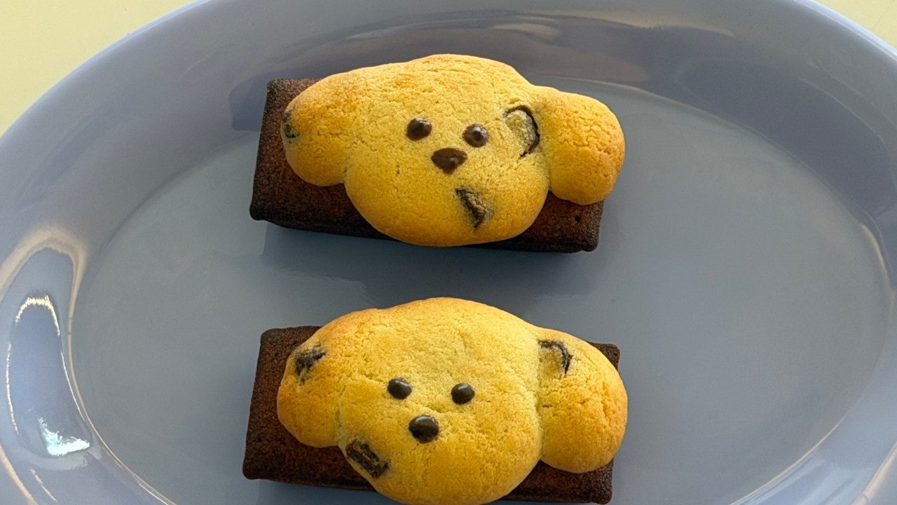 올어라운드유