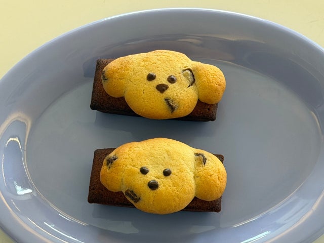 올어라운드유