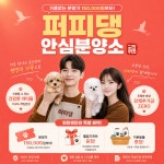 퍼피댕 강아지분양 무료분양 대전유성점