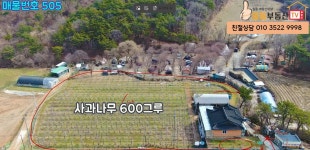 태안일등부동산공인중개사사무소