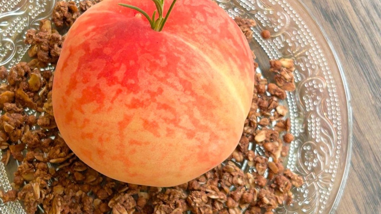 잔잔한숲